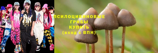mdpv Алексин
