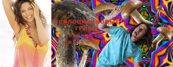 шишки Алексеевка