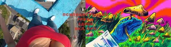 mdpv Алексин