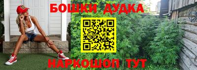 PSILOCYBIN Свободный