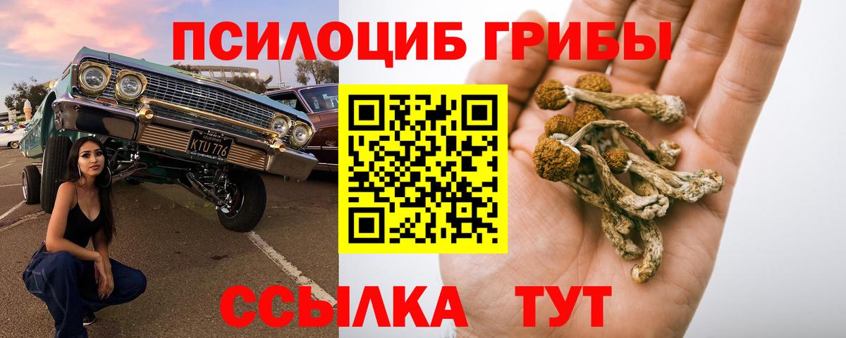 Псилоцибиновые грибы Cubensis  цены наркотик  Псков  Вход с VPN 